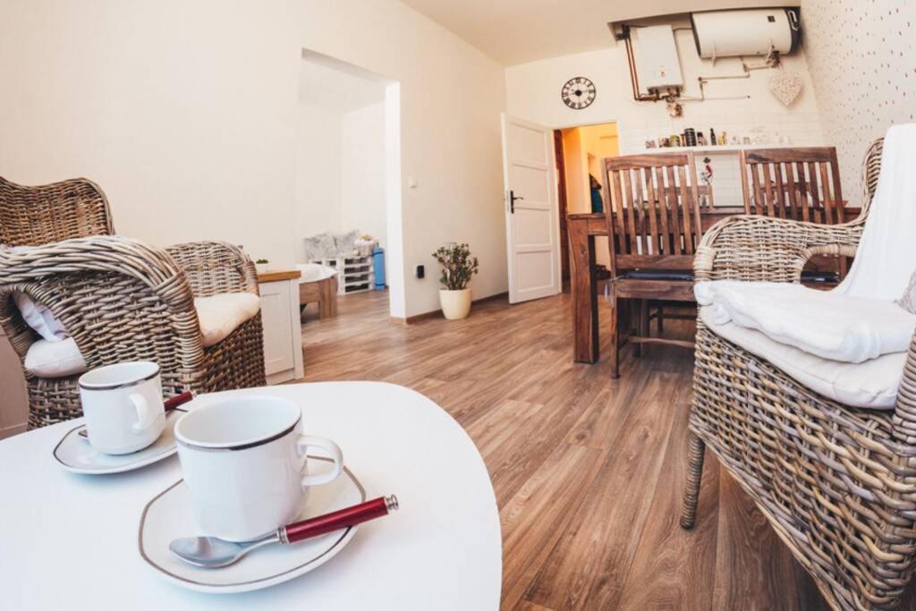 Stylovy Apartman V Centru Nachoda 외부 사진